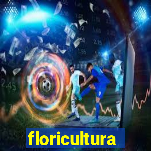 floricultura juazeiro bahia